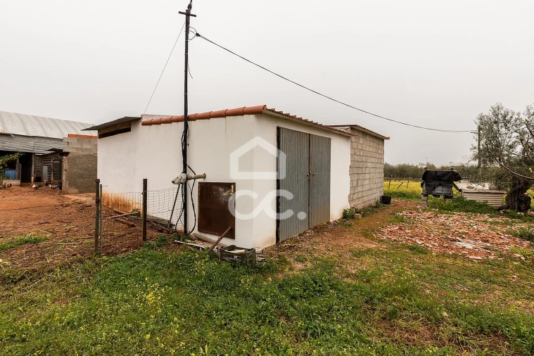 Quinta T2 para Venda em Sousel Foto 24