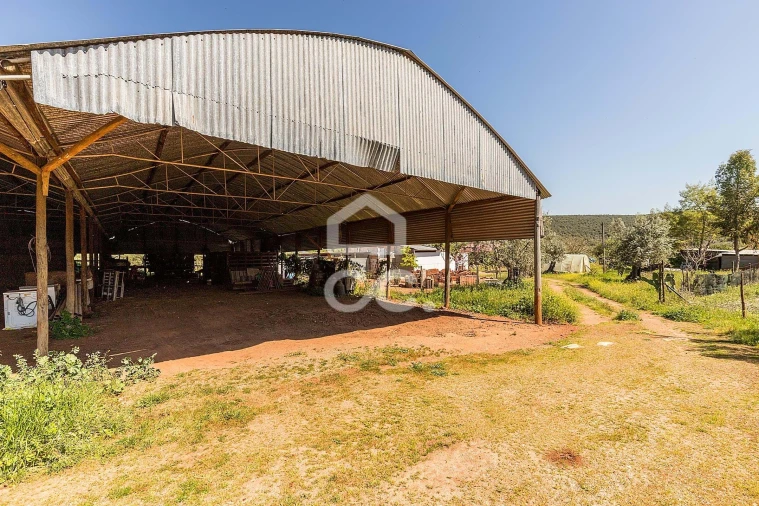 Quinta T2 para Venda em Sousel Foto 35