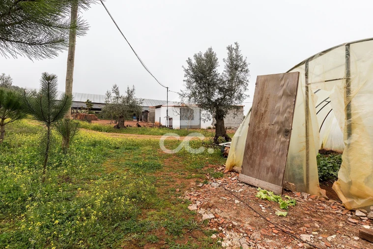 Quinta T2 para Venda em Sousel Foto 40