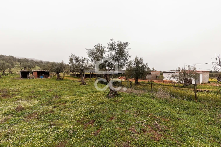 Quinta T2 para Venda em Sousel Foto 46