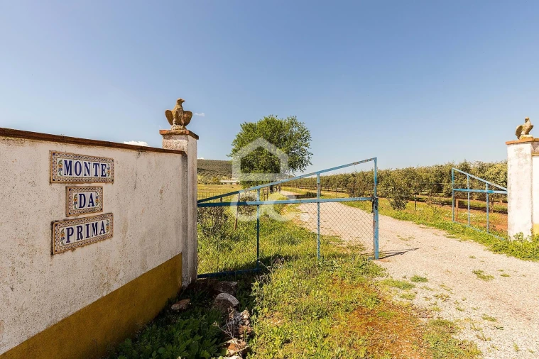 Quinta T2 para Venda em Sousel Foto 87