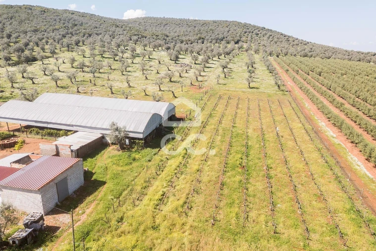 Quinta T2 para Venda em Sousel Foto 127