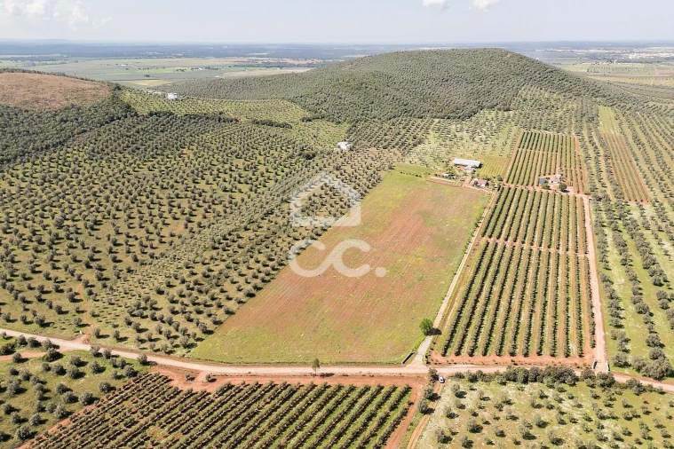 Quinta T2 para Venda em Sousel Foto 111