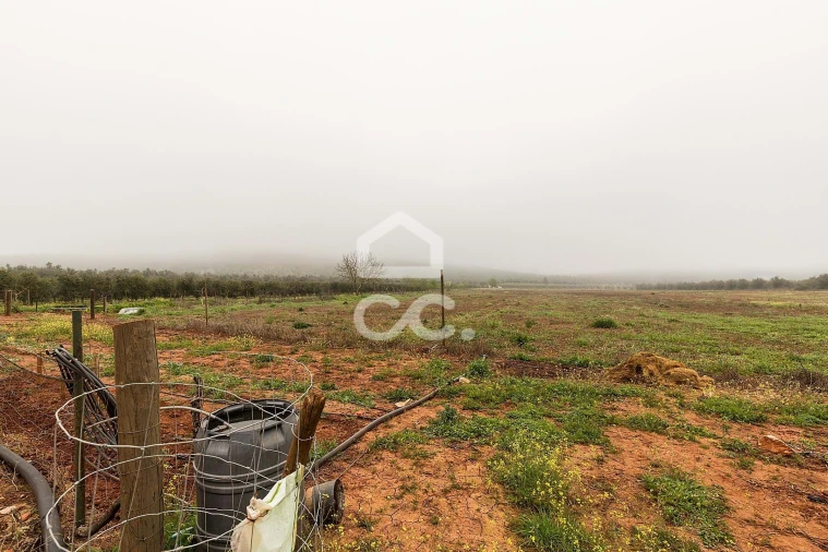 Quinta T2 para Venda em Sousel Foto 54