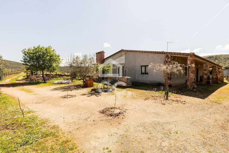 Quinta T2 para Venda em Sousel Foto 71