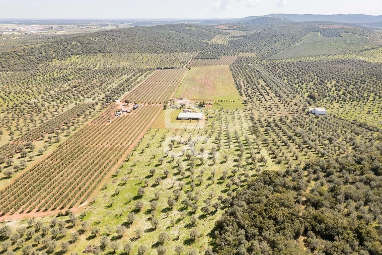 Quinta T2 para Venda em Sousel Foto 96