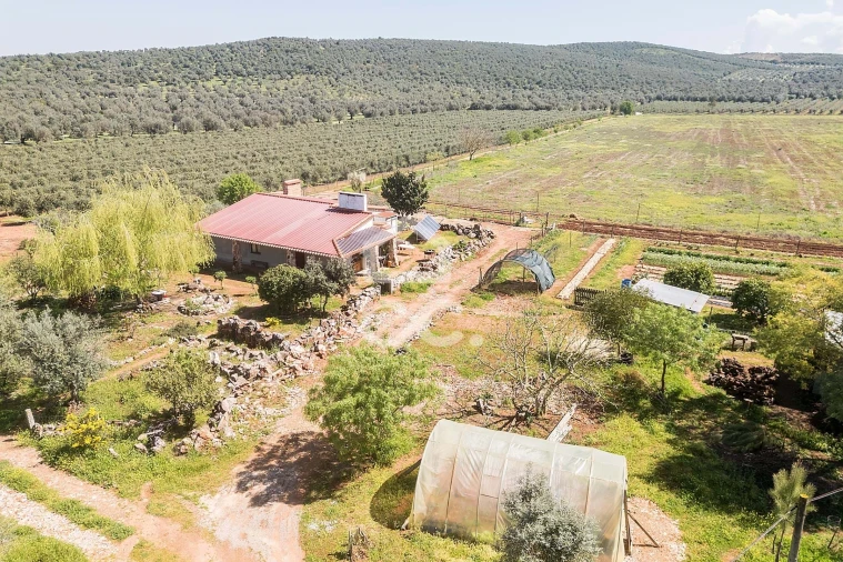 Quinta T2 para Venda em Sousel Foto 5