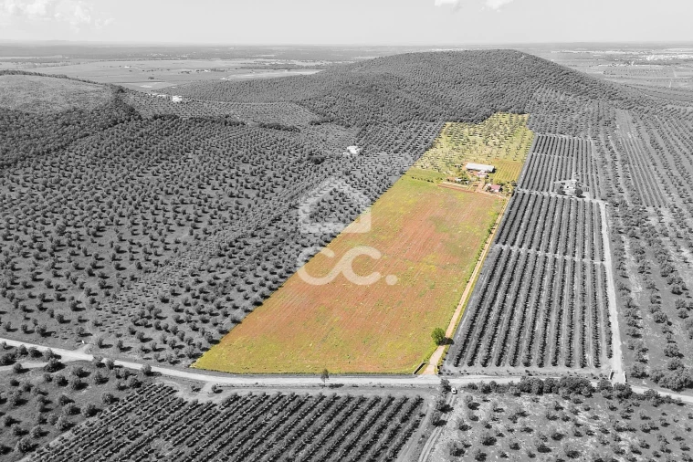 Quinta T2 para Venda em Sousel Foto 4