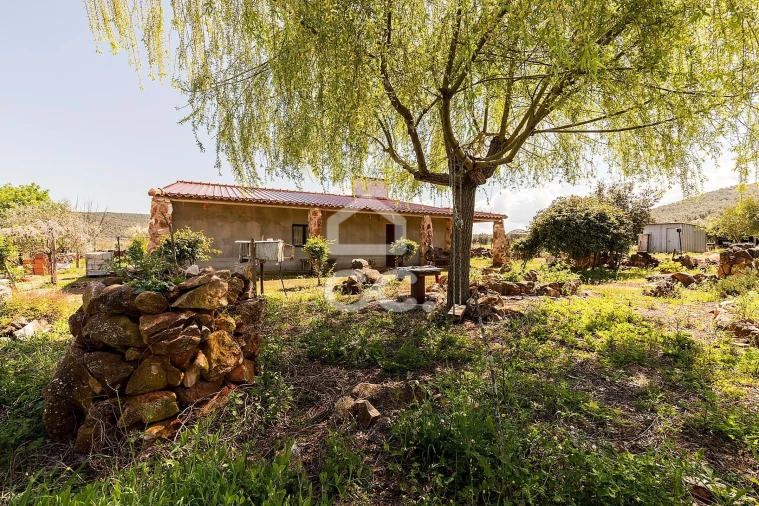 Quinta T2 para Venda em Sousel Foto 75