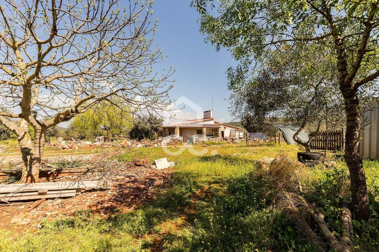 Quinta T2 para Venda em Sousel Foto 51