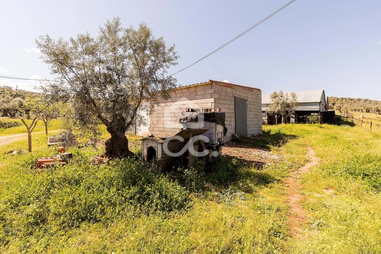 Quinta T2 para Venda em Sousel Foto 38