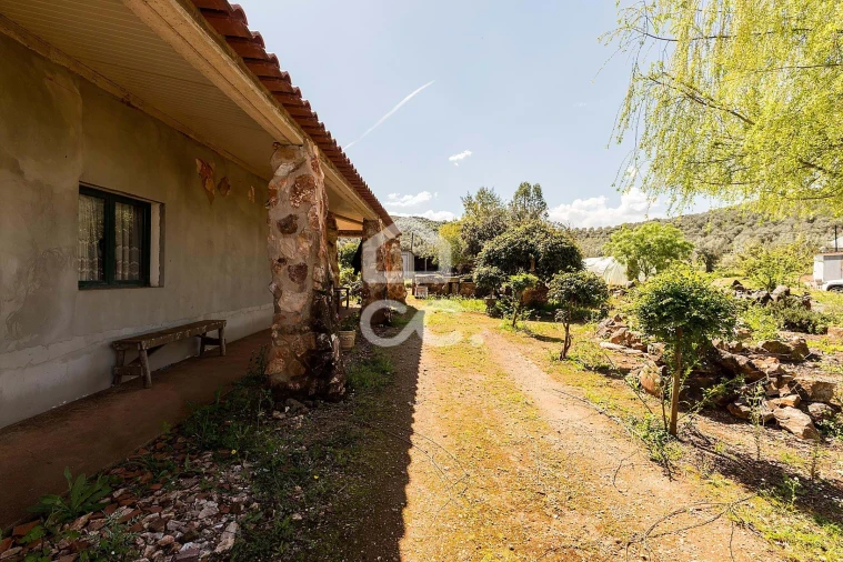 Quinta T2 para Venda em Sousel Foto 76