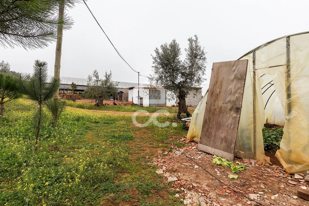 Quinta T2 para Venda em Sousel Foto 40