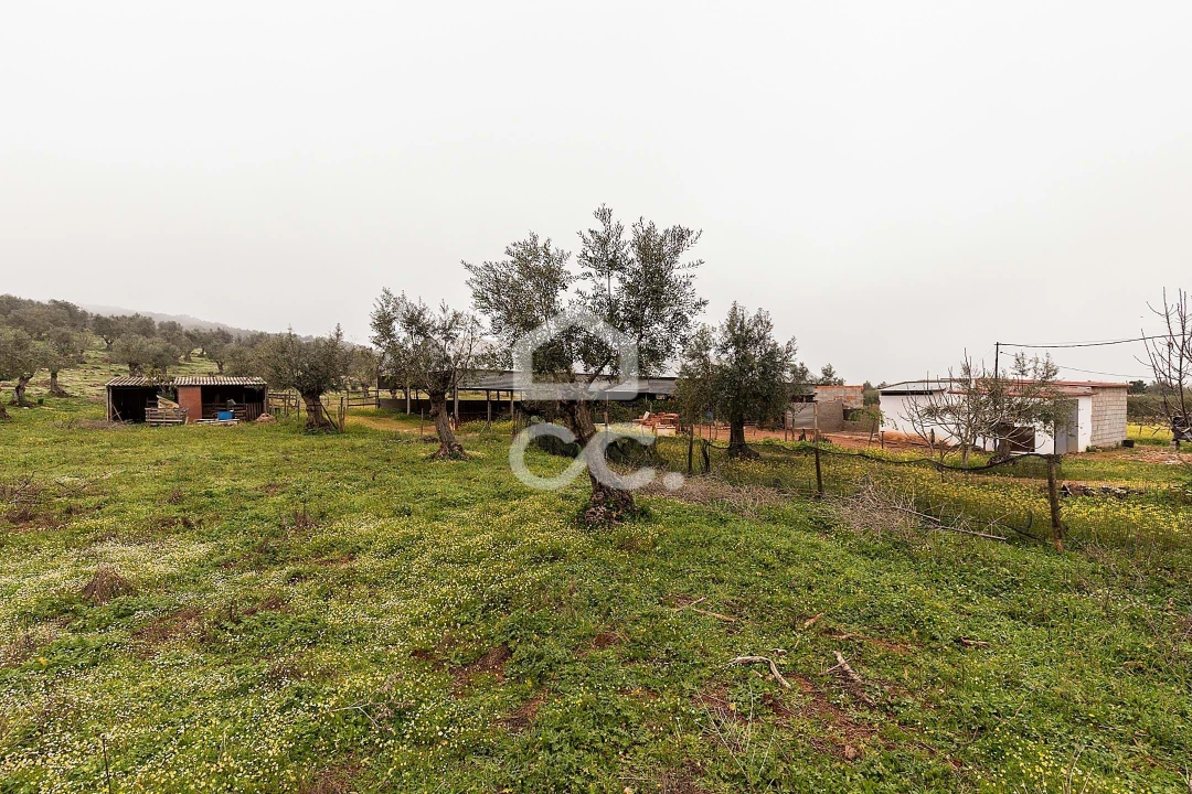 Quinta T2 para Venda em Sousel Foto 46