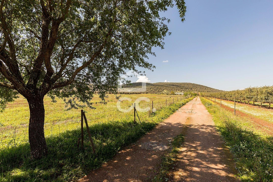 Quinta T2 para Venda em Sousel Foto 89