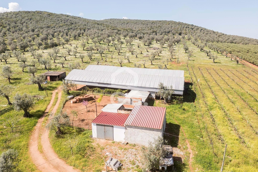 Quinta T2 para Venda em Sousel Foto 126