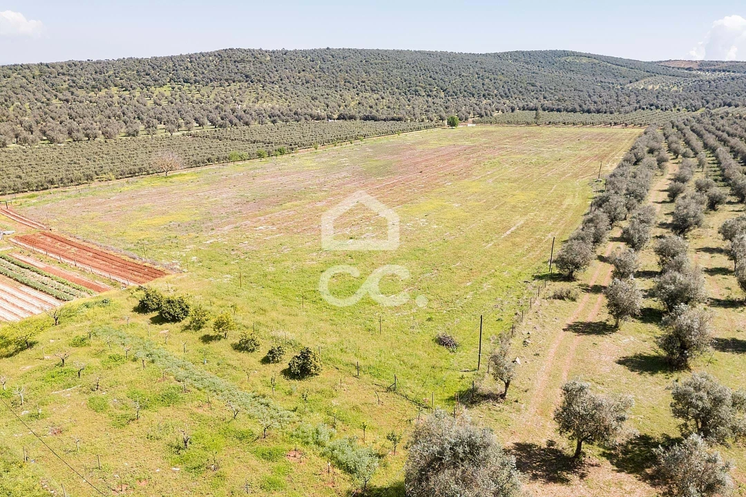 Quinta T2 para Venda em Sousel Foto 105