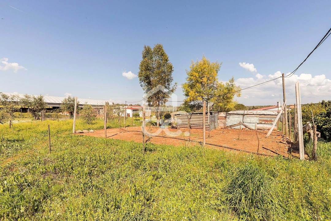 Quinta T2 para Venda em Sousel Foto 48