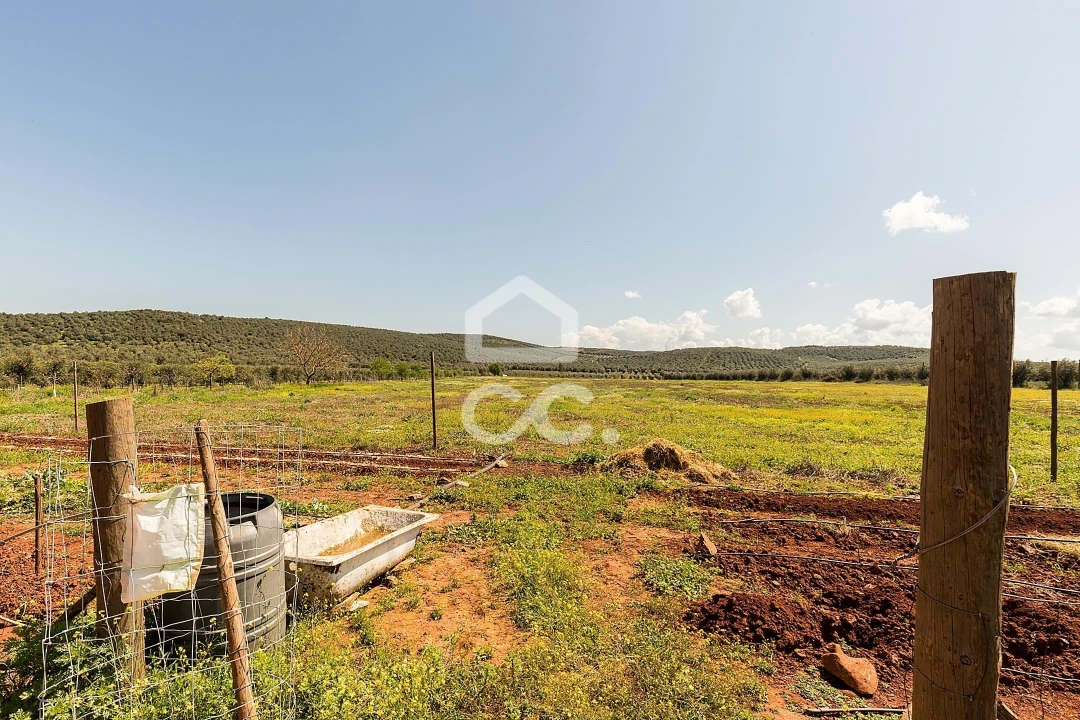 Quinta T2 para Venda em Sousel Foto 61