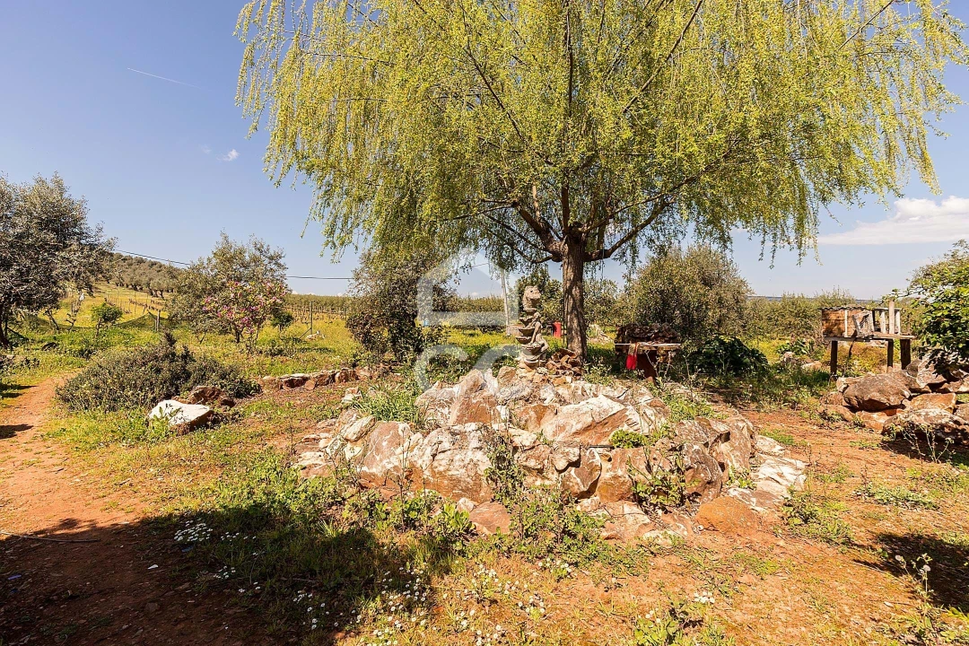 Quinta T2 para Venda em Sousel Foto 81