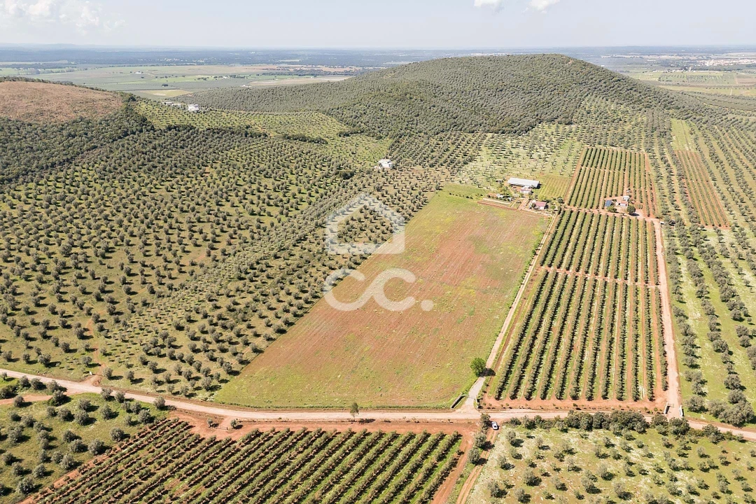 Quinta T2 para Venda em Sousel Foto 111