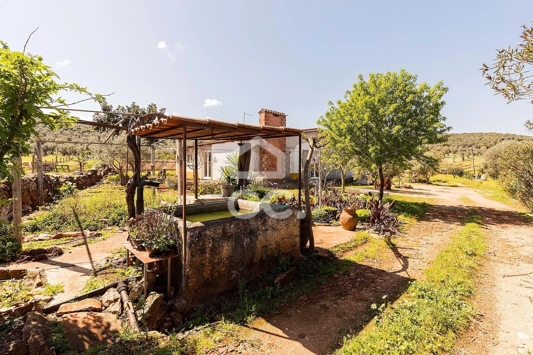 Quinta T2 para Venda em Sousel Foto 66