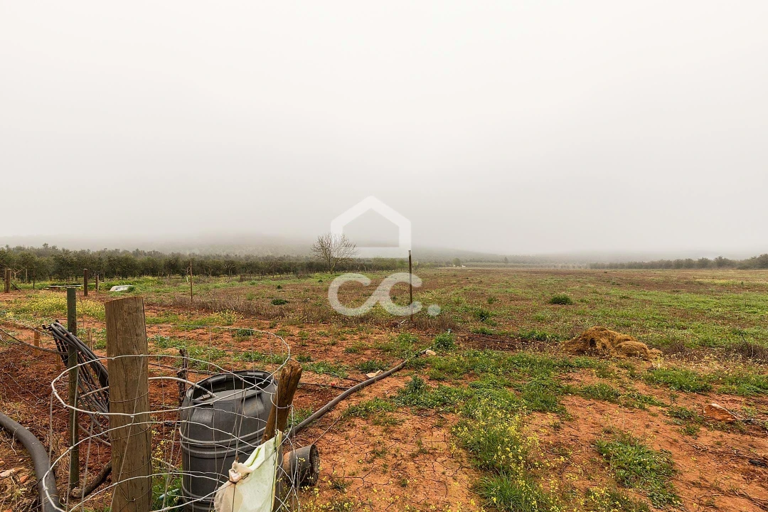 Quinta T2 para Venda em Sousel Foto 54