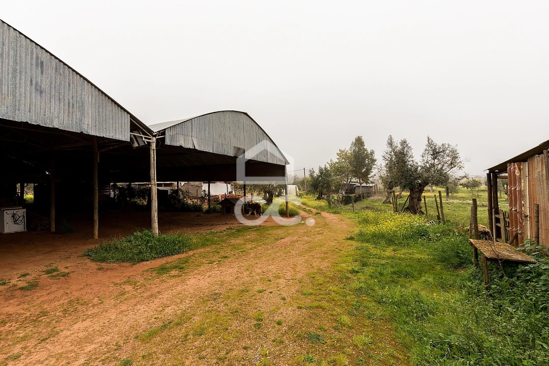 Quinta T2 para Venda em Sousel Foto 30