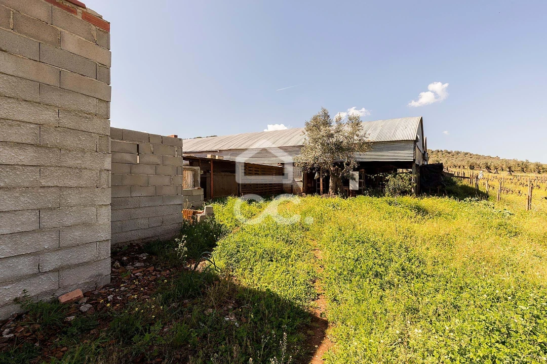 Quinta T2 para Venda em Sousel Foto 52