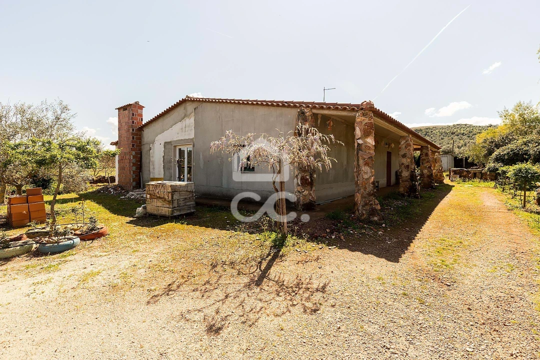 Quinta T2 para Venda em Sousel Foto 70