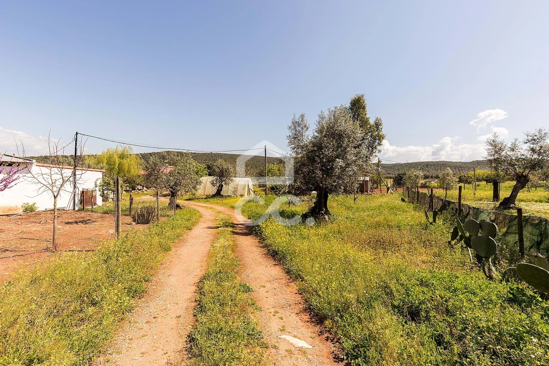 Quinta T2 para Venda em Sousel Foto 41