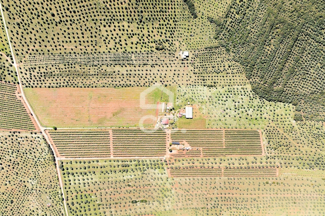 Quinta T2 para Venda em Sousel Foto 110