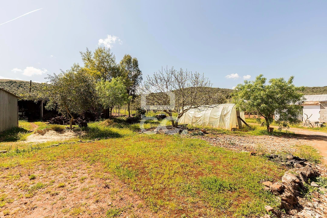 Quinta T2 para Venda em Sousel Foto 59