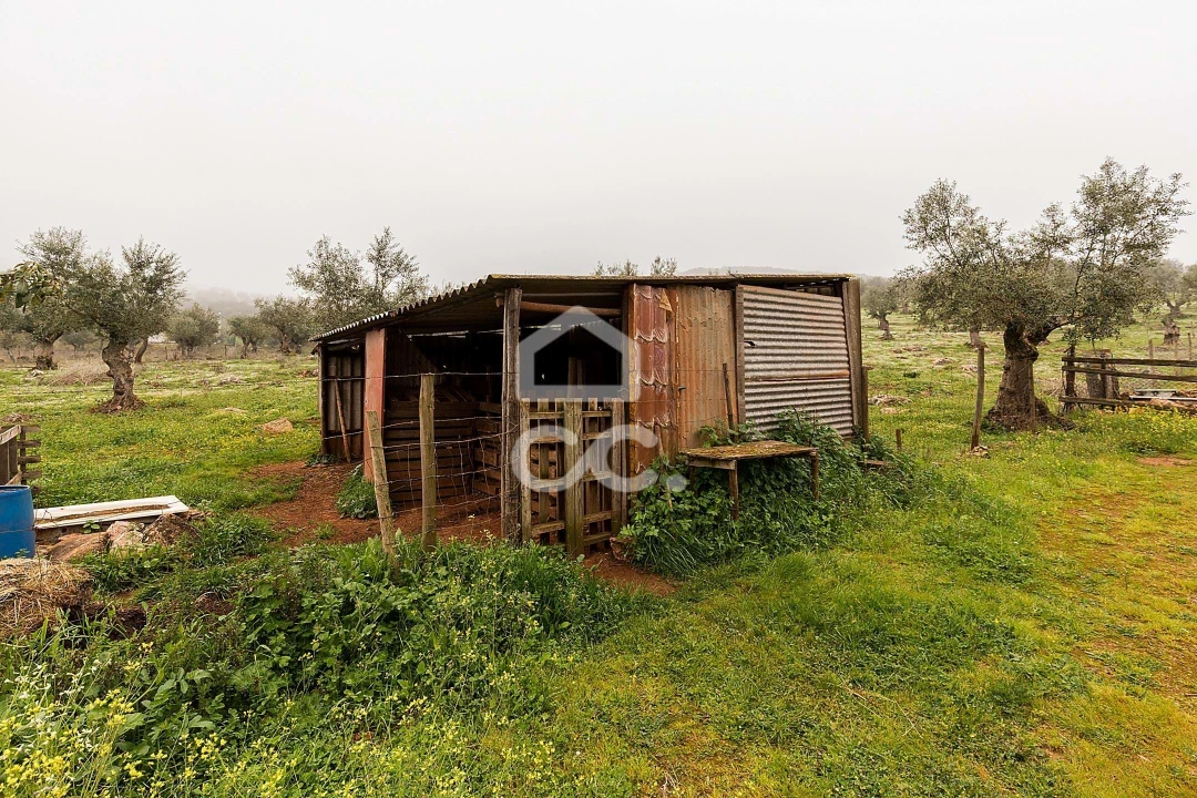 Quinta T2 para Venda em Sousel Foto 36