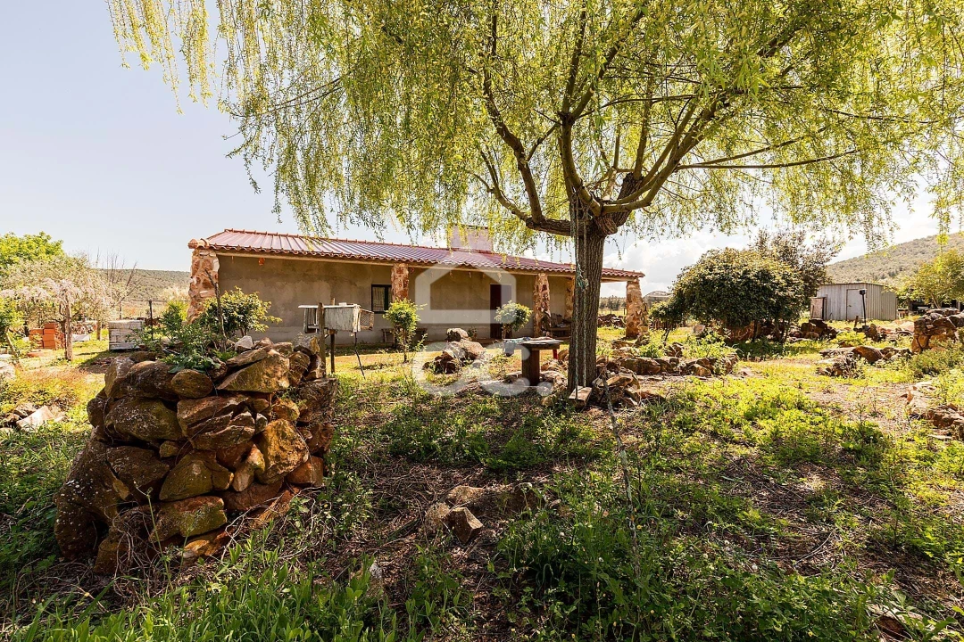 Quinta T2 para Venda em Sousel Foto 75