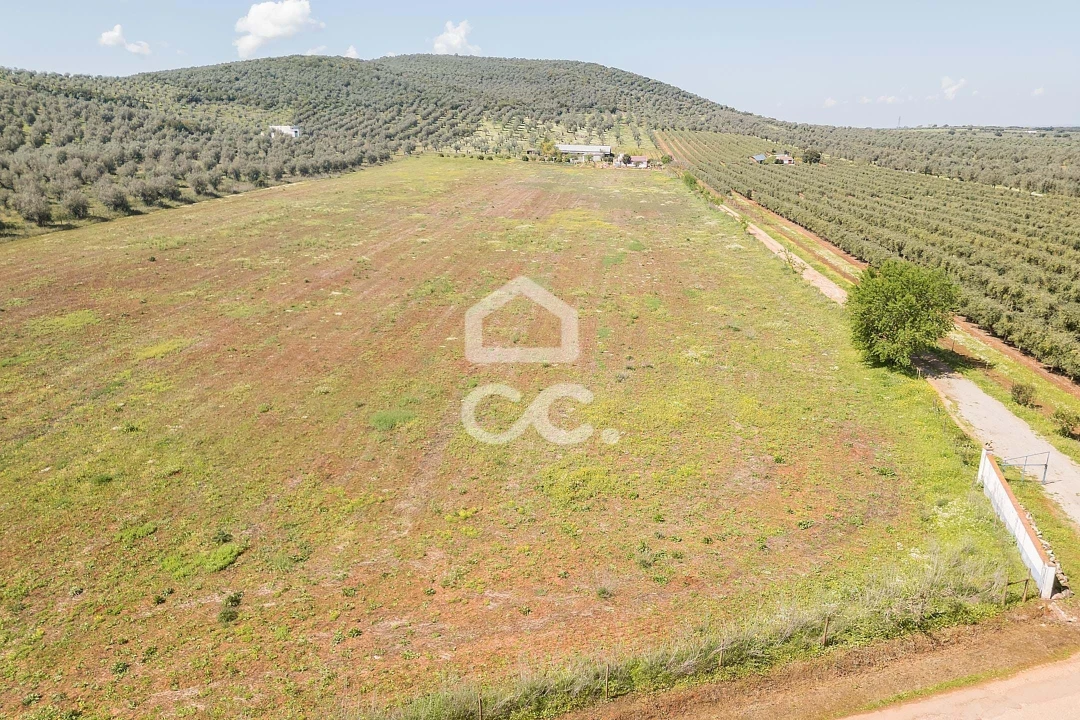 Quinta T2 para Venda em Sousel Foto 116