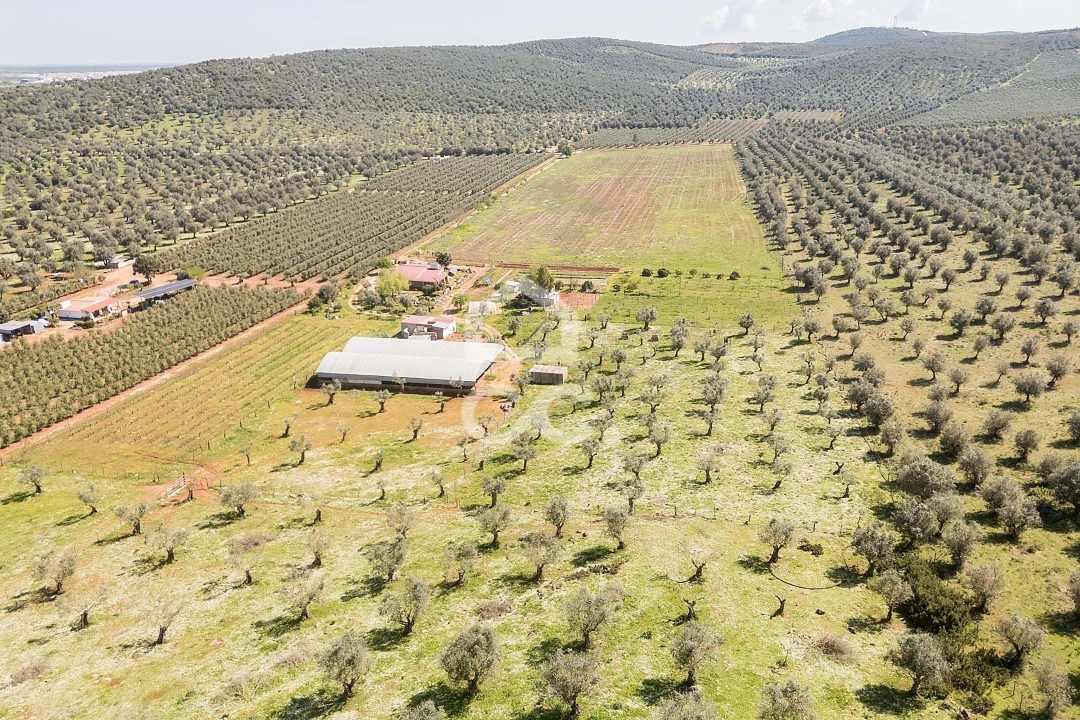 Quinta T2 para Venda em Sousel Foto 99