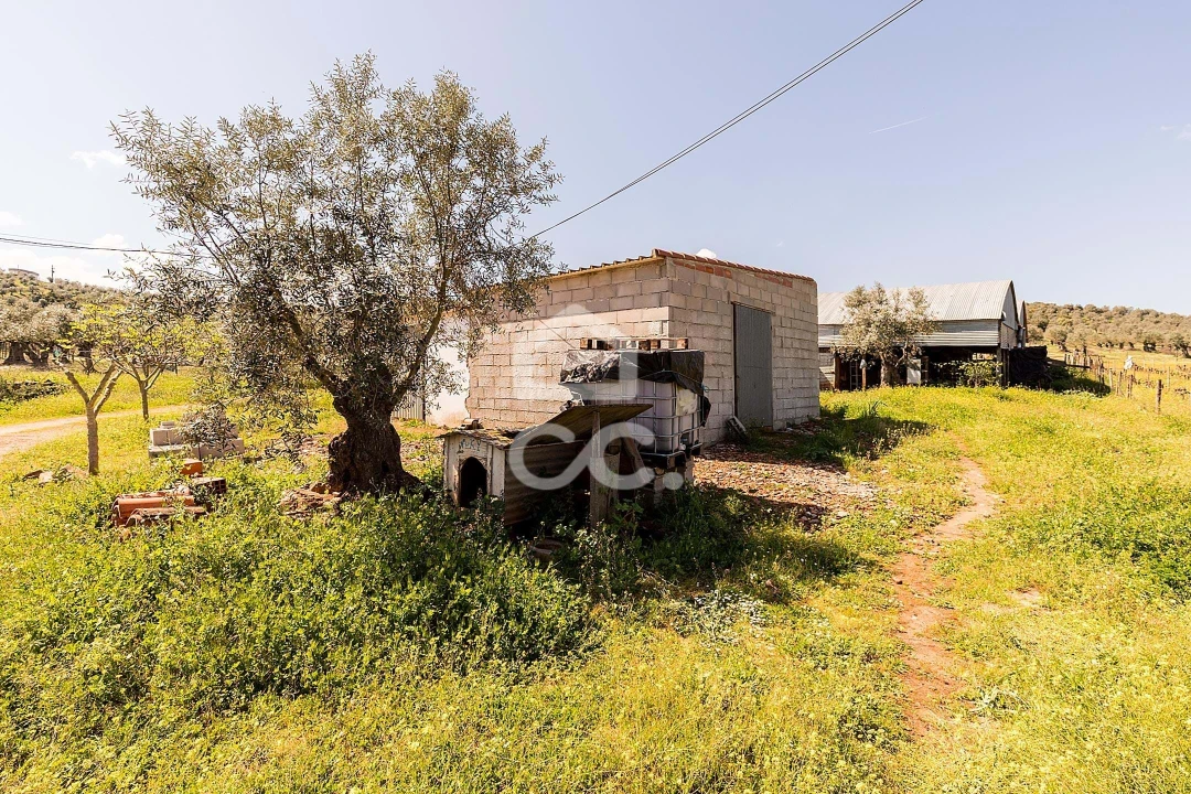 Quinta T2 para Venda em Sousel Foto 38