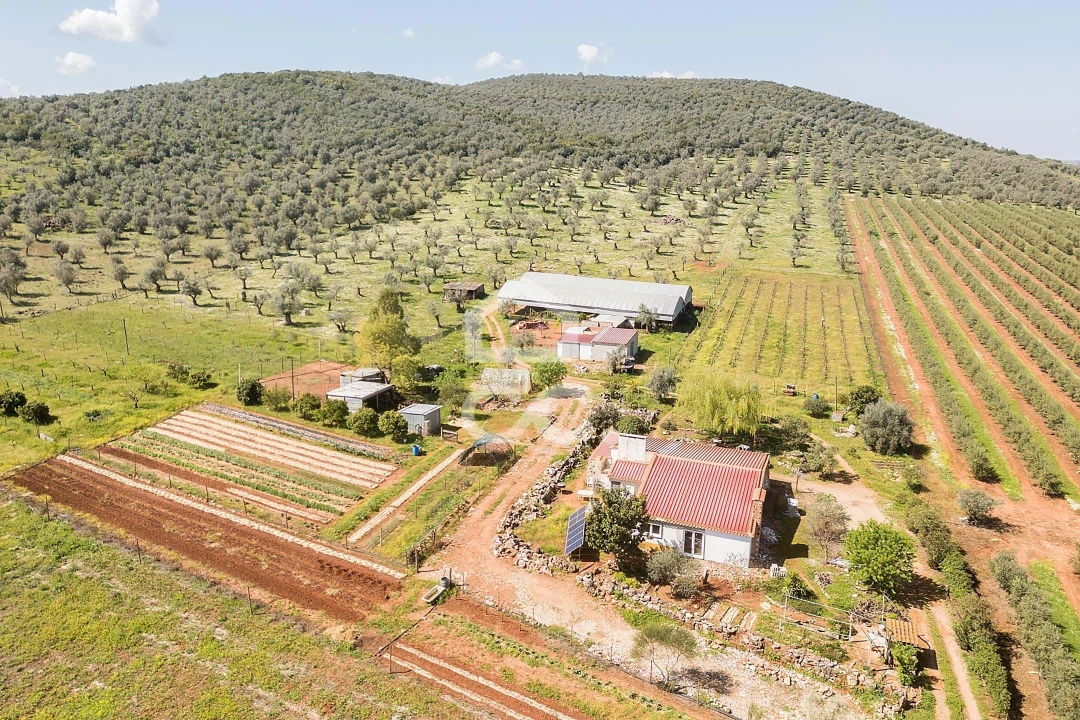 Quinta T2 para Venda em Sousel Foto 124