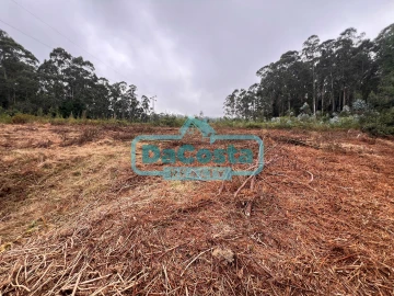 Terreno para Venda em Santana