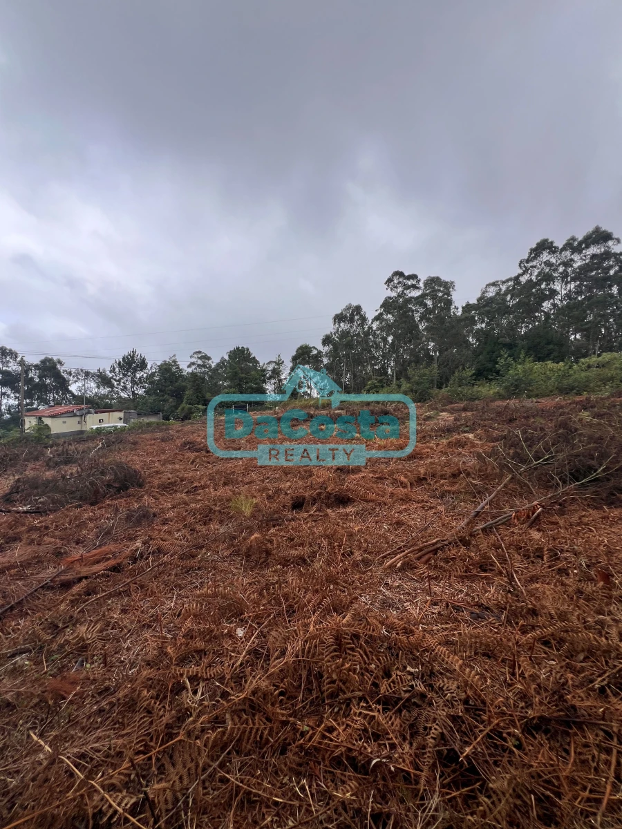 Terreno para Venda em Santana Foto 10