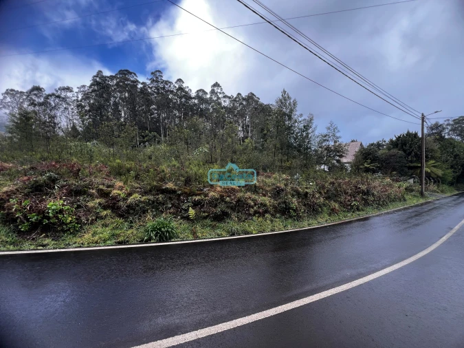 Terreno para Venda em Santana Foto 3