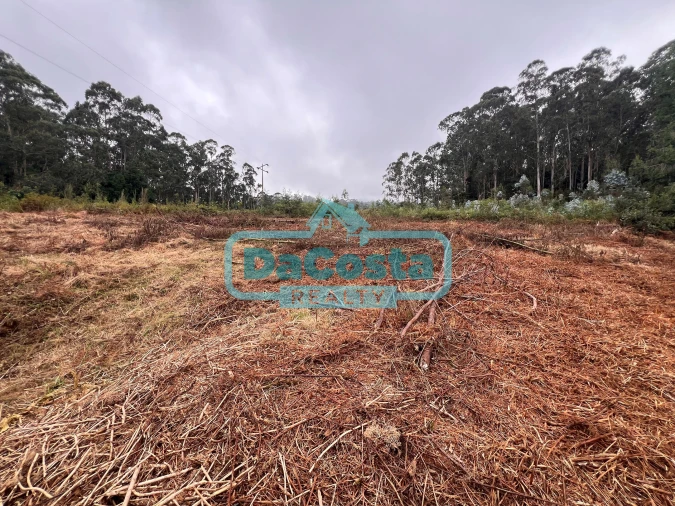 Terreno para Venda em Santana Foto 14