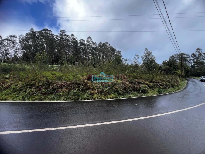 Terreno para Venda em Santana Foto 5