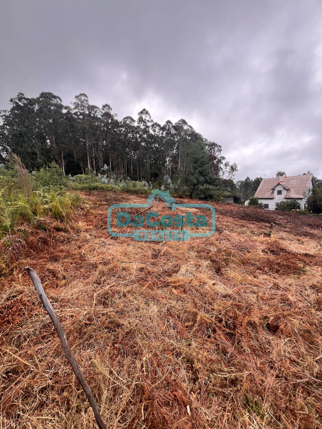 Terreno para Venda em Santana Foto 12