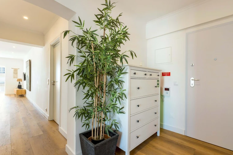 Apartamento T2 para Venda em Costa da Caparica Foto 3