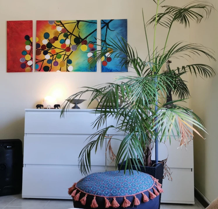 Apartamento T3 para Venda em Oeiras e São Julião da Barra, Paço de Arcos e Caxias Foto 13