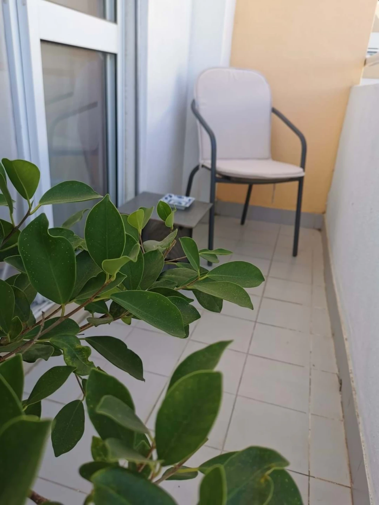 Apartamento T3 para Venda em Oeiras e São Julião da Barra, Paço de Arcos e Caxias Foto 14