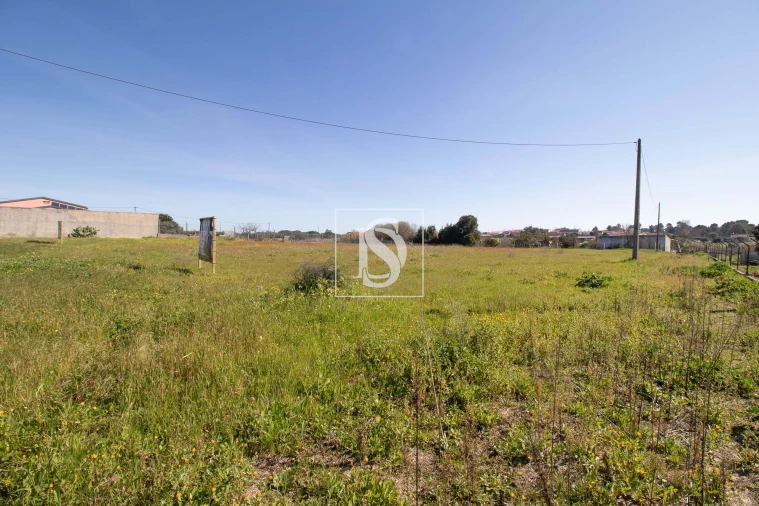 Terreno para Venda em Gambia-Pontes-Alto da Guerra Foto 5