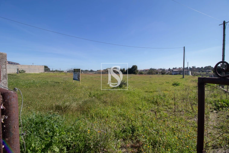 Terreno para Venda em Gambia-Pontes-Alto da Guerra Foto 4